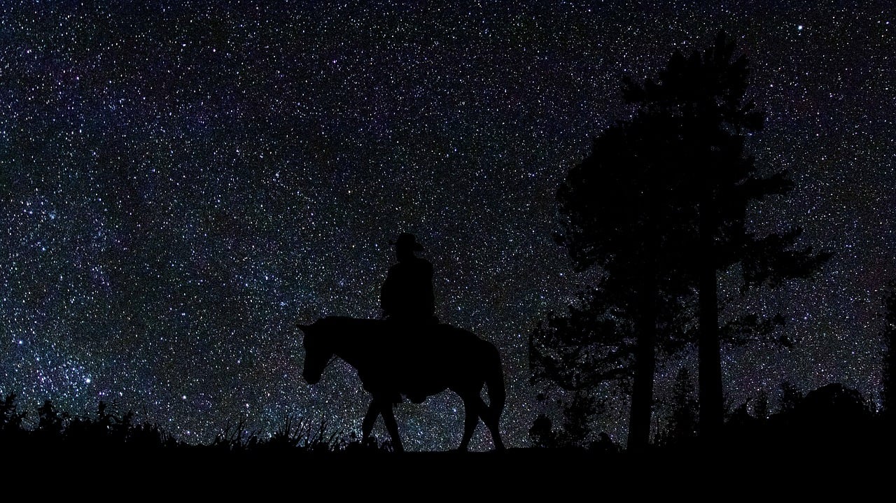 silhouette of a cowboy on a horse in front of a backdrop of stars.