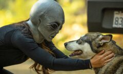 A person in an alien mask is kneeling to put a husky.